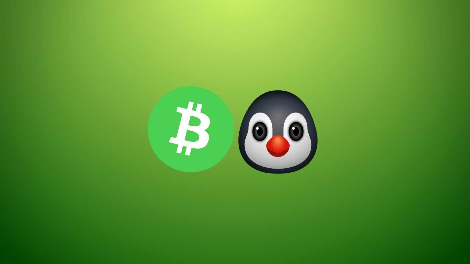 Deploy a Bitcoin Cash Node on Linux