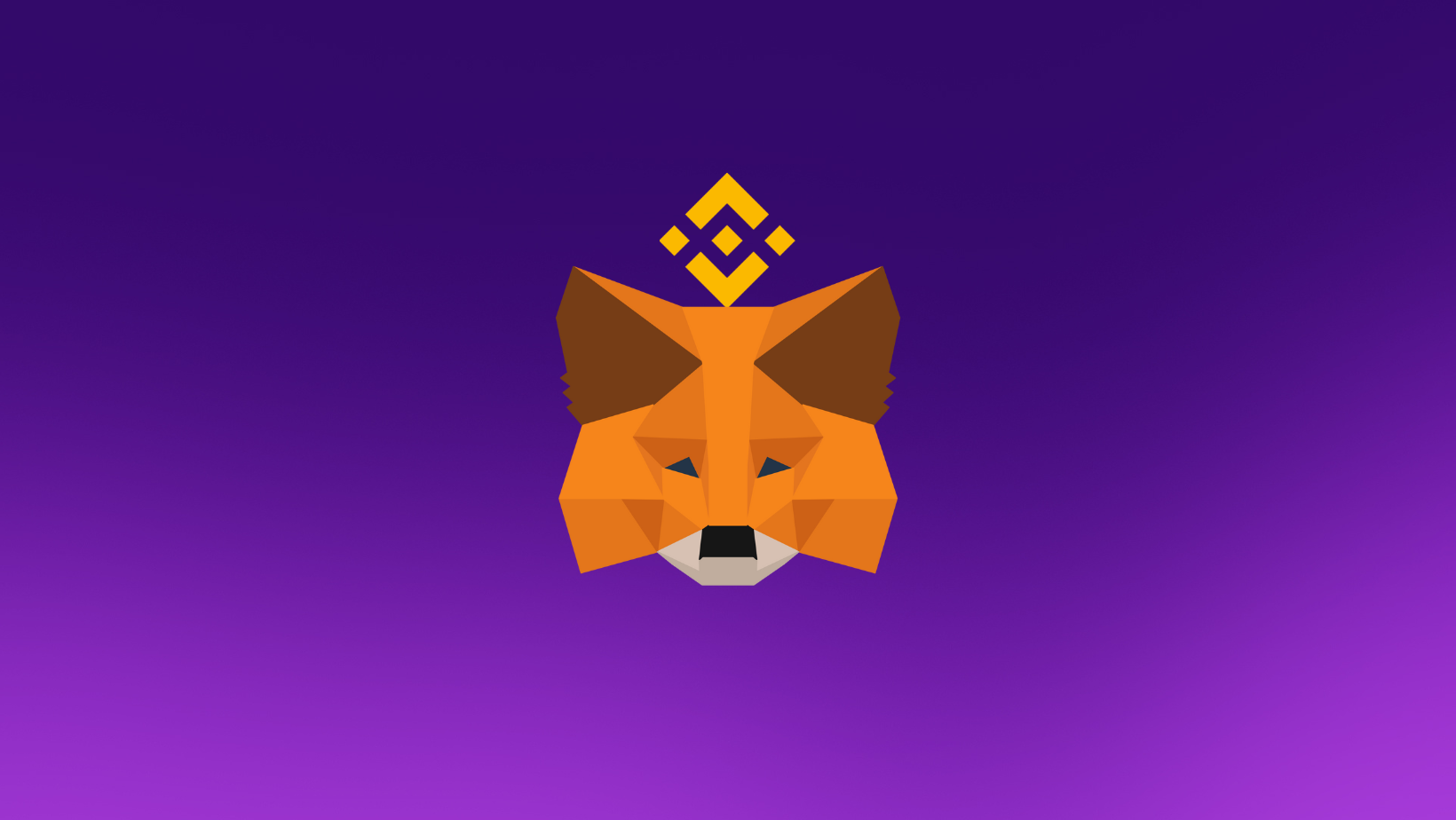 How to Add Binance Smart Chain (BSC) to MetaMask Wallet