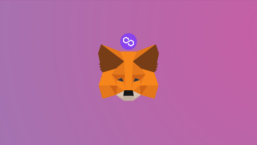 How to add Polygon (MATIC) to MetaMask Wallet