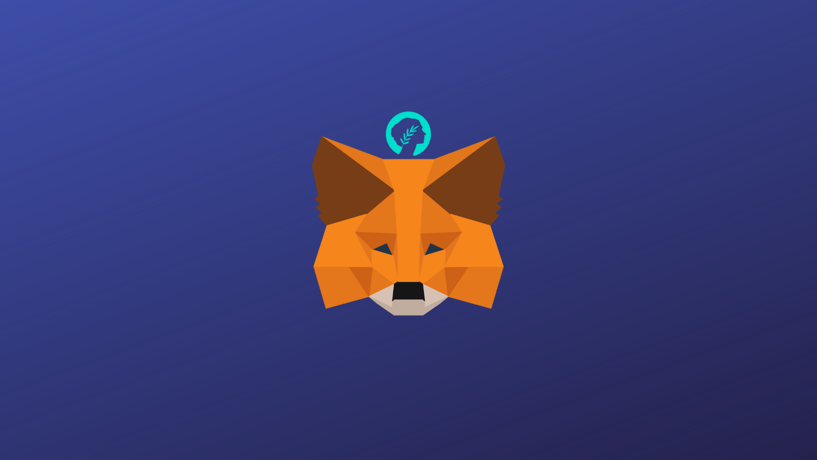 How to add Metis Andromeda (METIS) to MetaMask