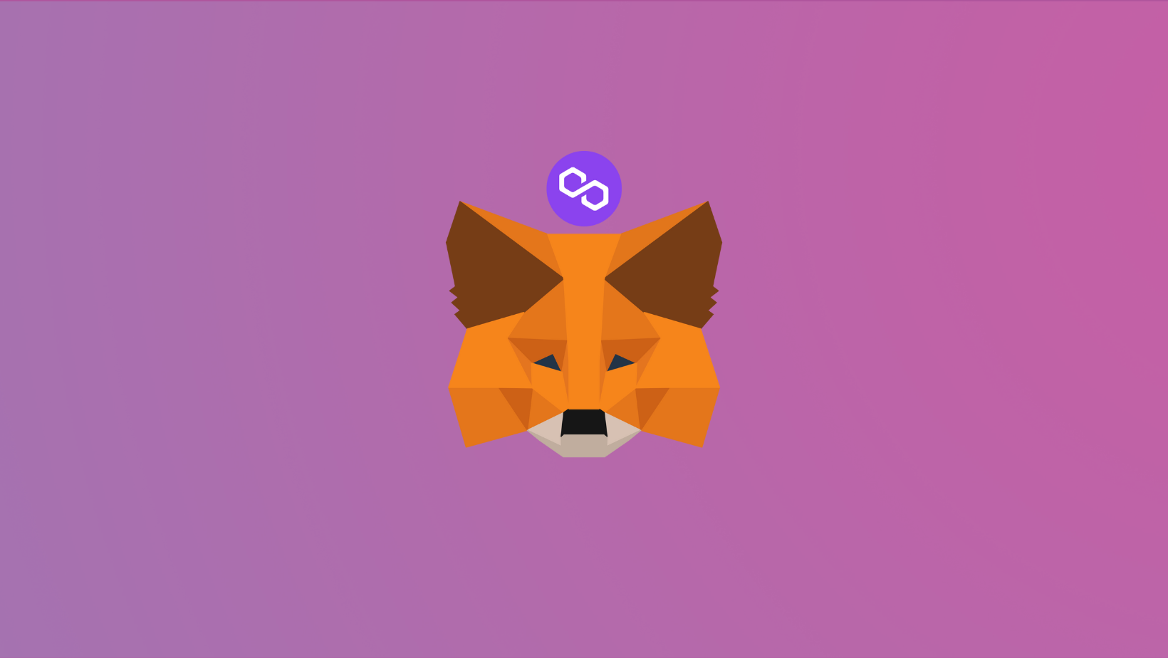 How to add MATIC to MetaMask Wallet