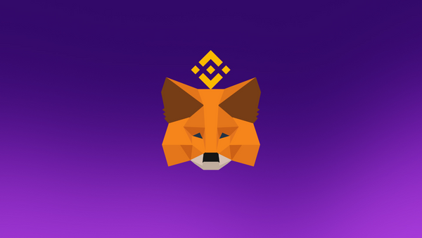 How to Add Binance Smart Chain (BSC) to MetaMask Wallet