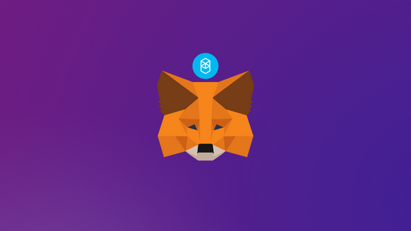 How to add Fantom (FTM) to MetaMask Wallet
