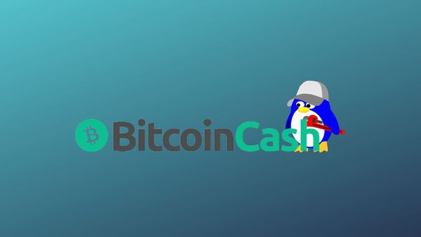 How To Run A Bitcoin Cash Node On Linux